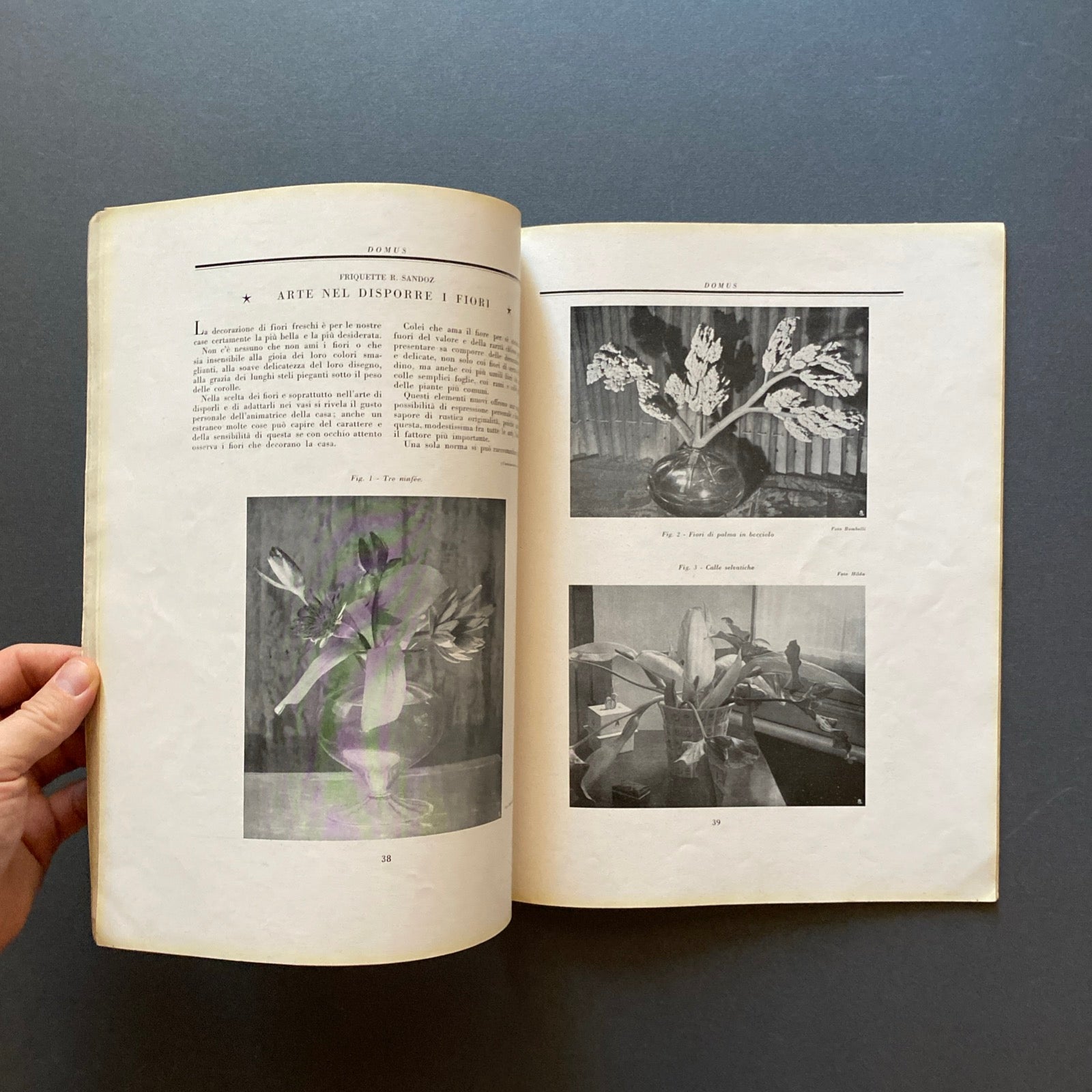 DOMUS. Rivista Mensile diretta da Gio Ponti. 1930, Anno III n. 2 Febbraio