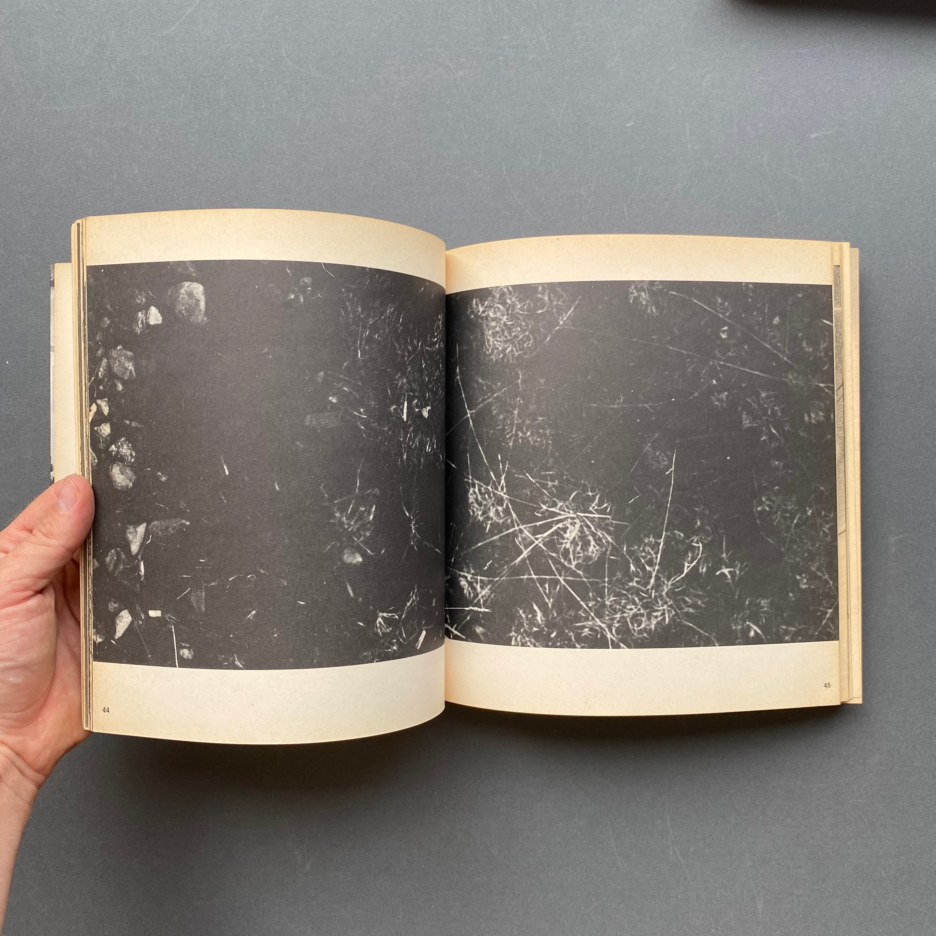 Germano Celant, Arte Povera, prima edizione Mazzotta 1969