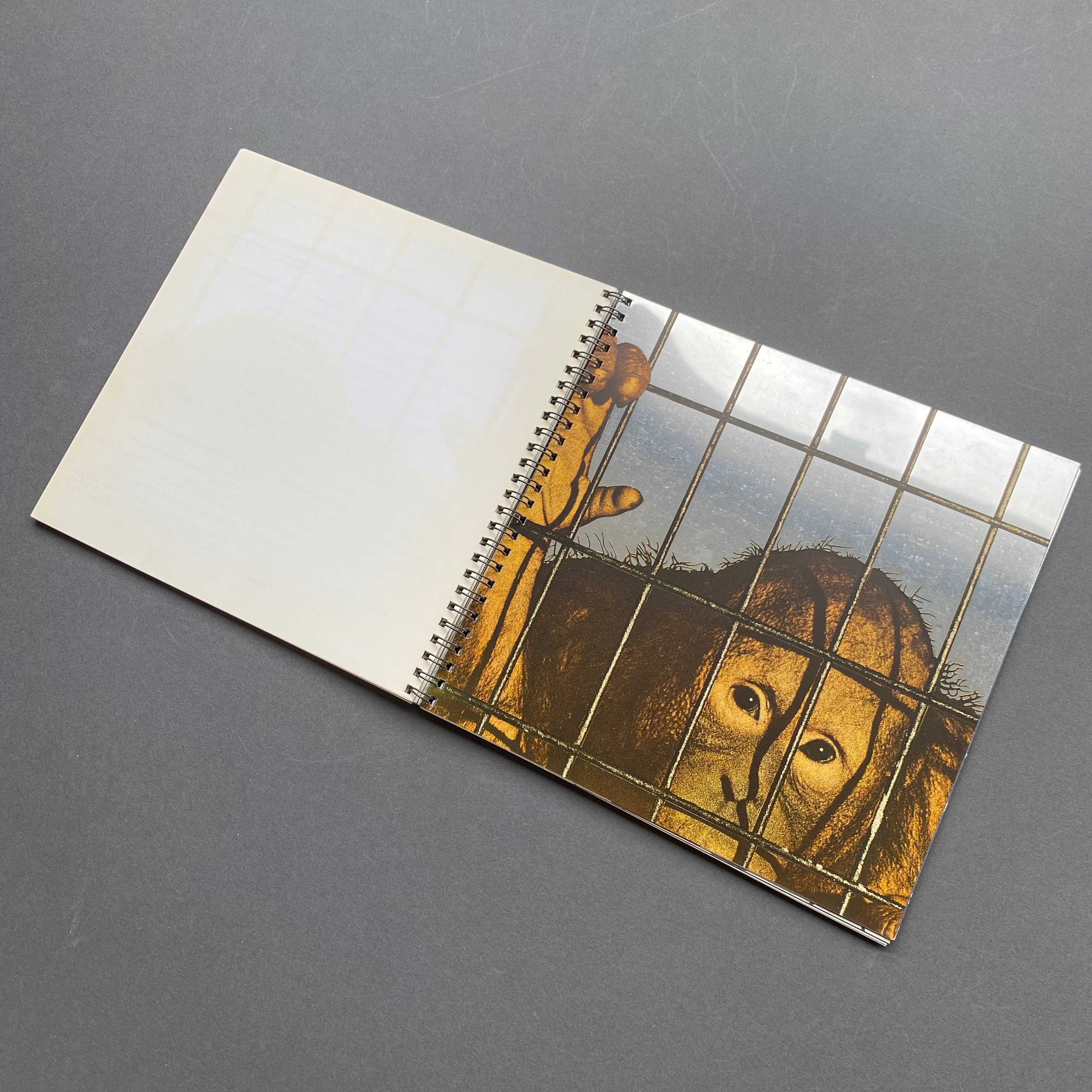 Michelangelo Pistoletto. Meister de italienischen Moderne XIV. 1974