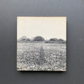 Germano Celant, Arte Povera, prima edizione Mazzotta 1969