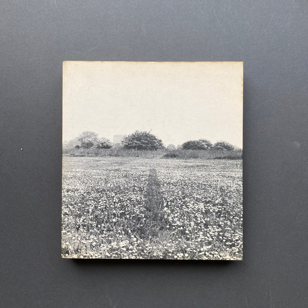 Germano Celant, Arte Povera, prima edizione Mazzotta 1969