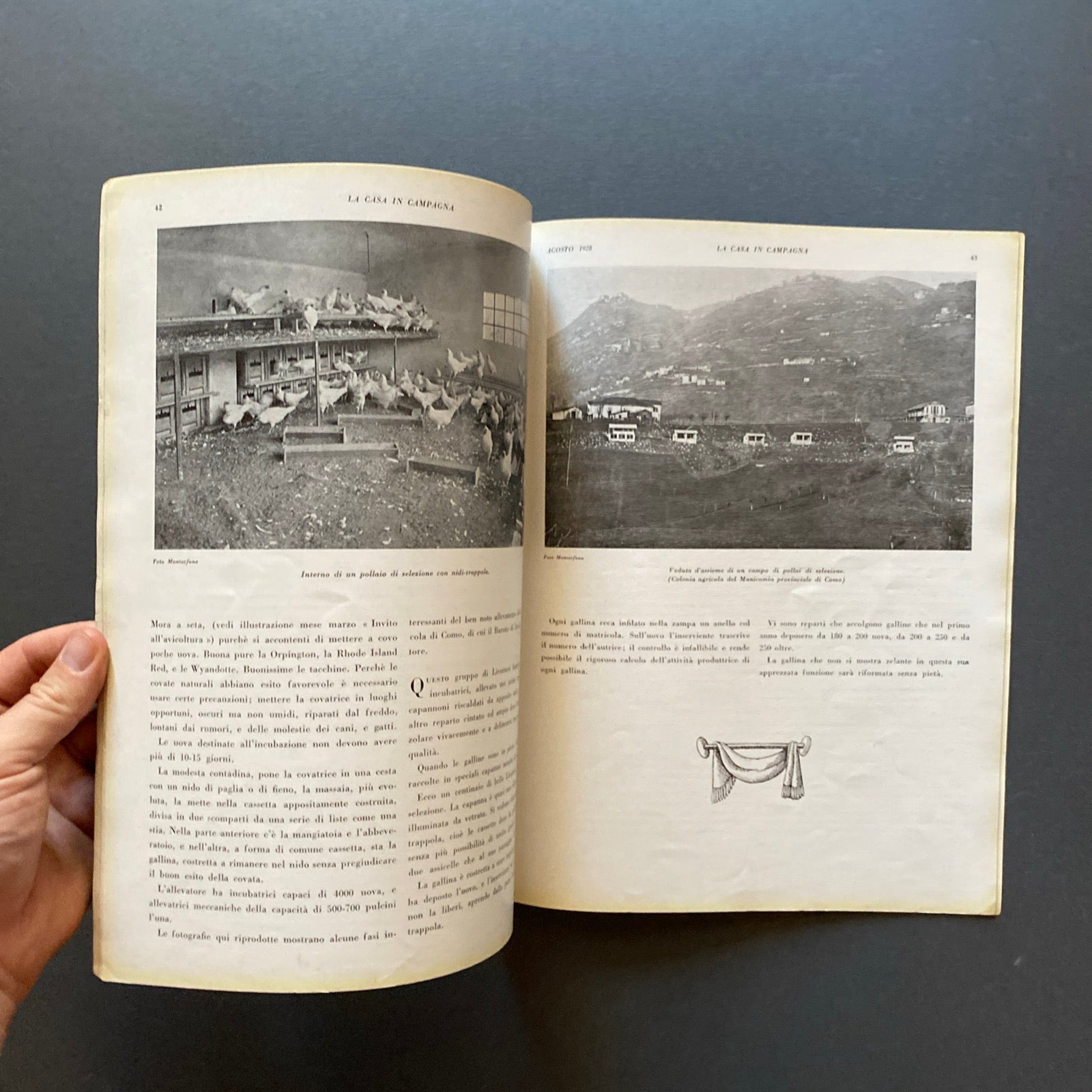 DOMUS. Rivista Mensile diretta da Gio Ponti. 1928, Anno I n. 8