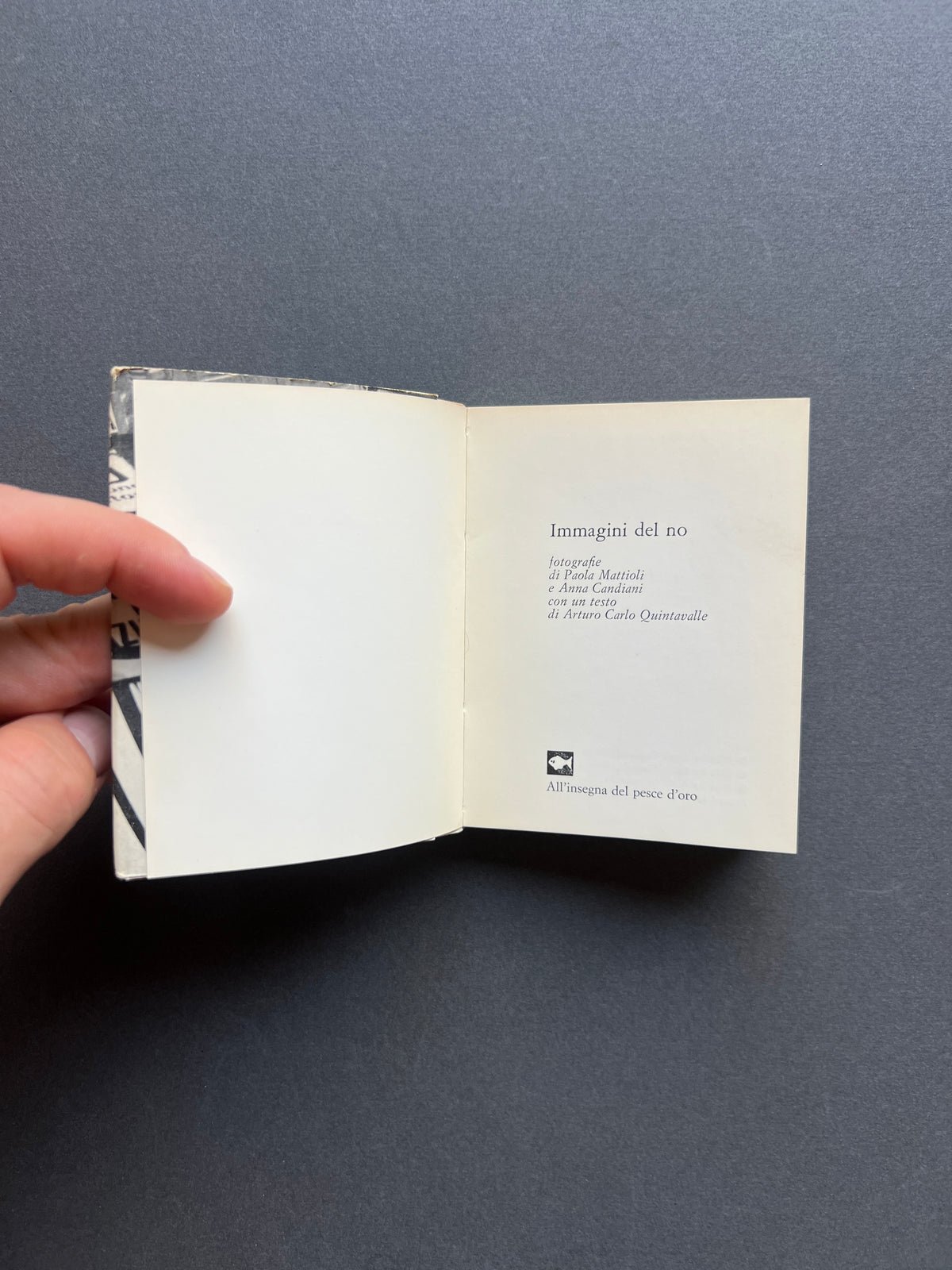 Immagini del NO, Paola Mattioli, Anna Candiani, 1974