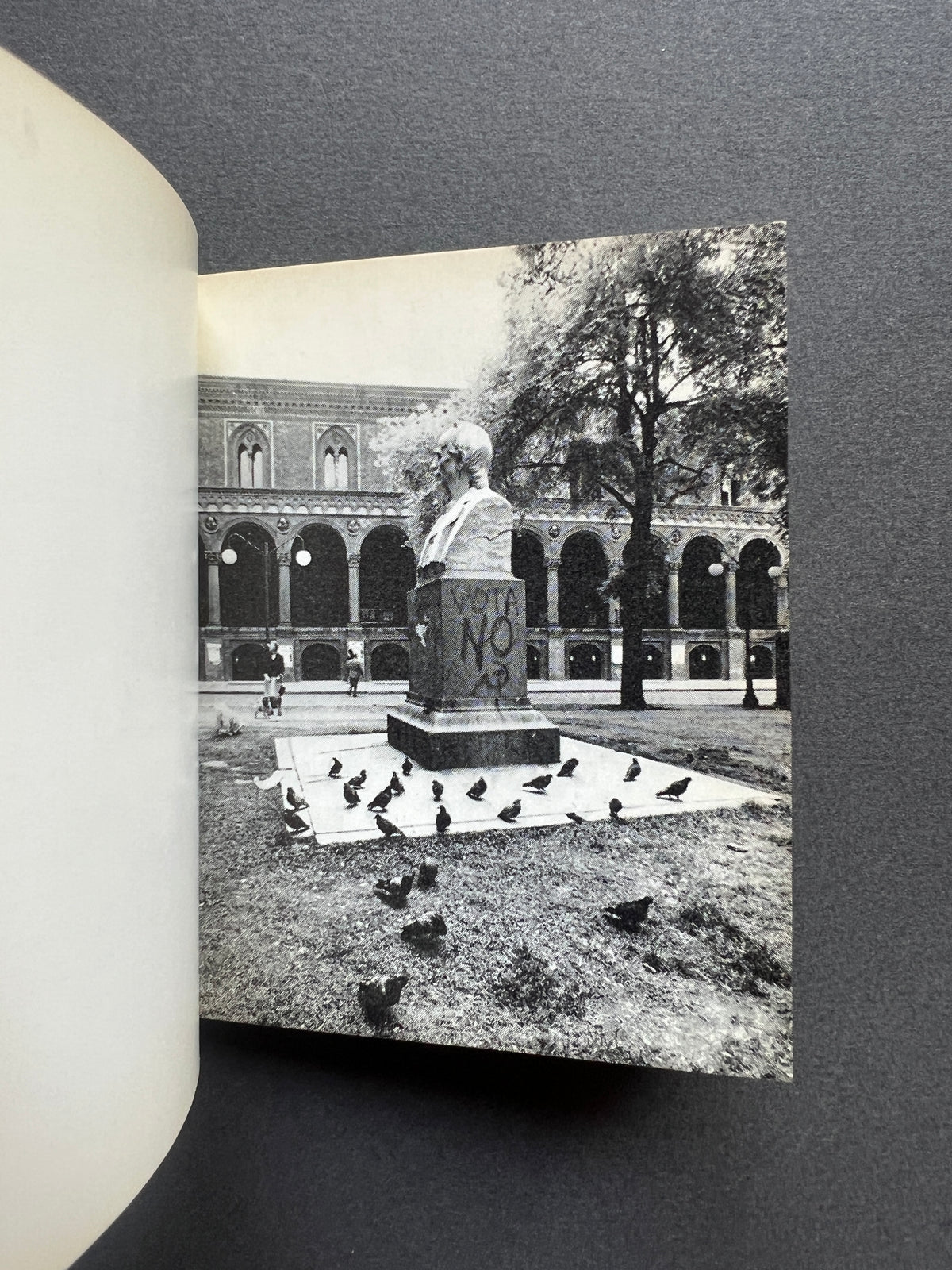 Immagini del NO, Paola Mattioli, Anna Candiani, 1974