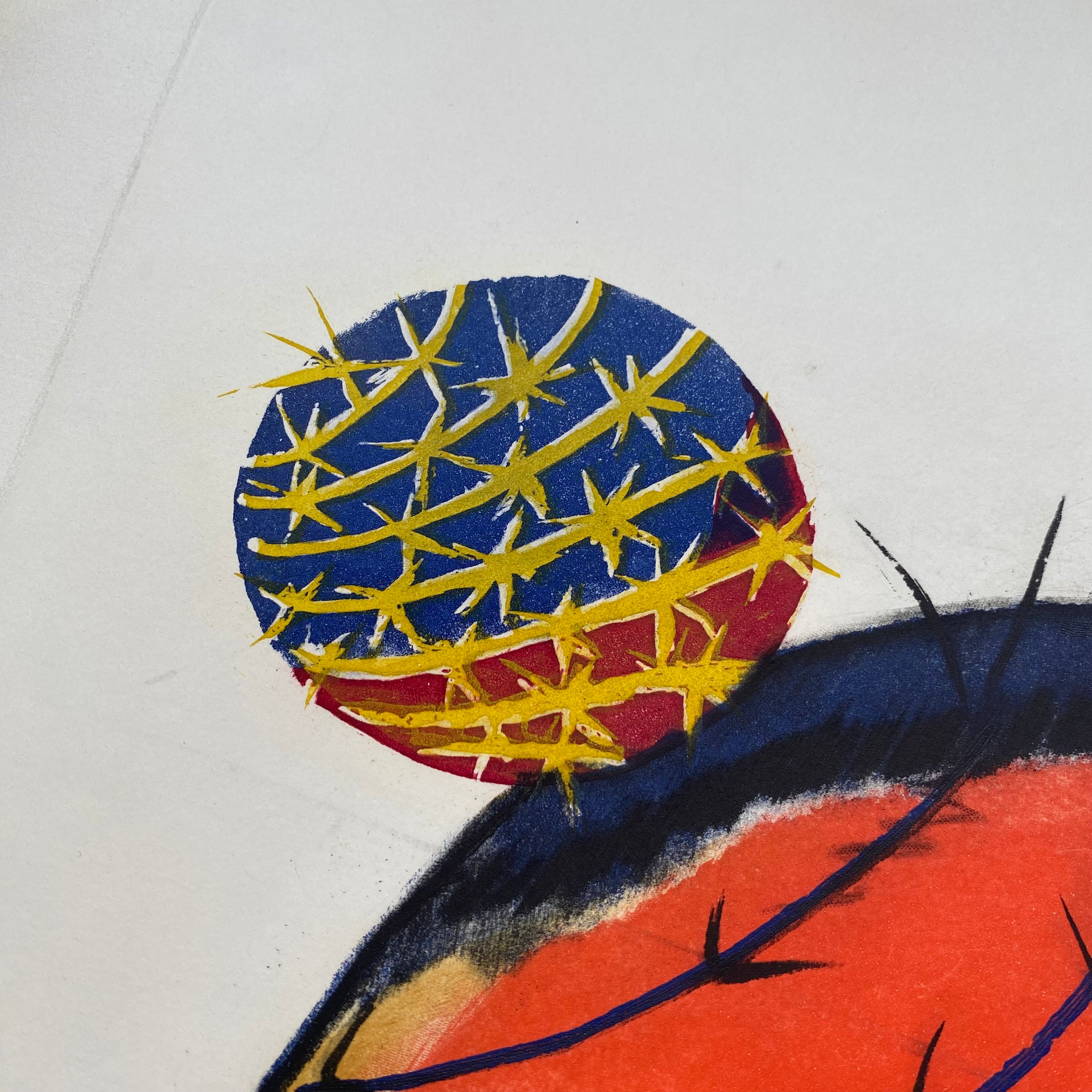 Man Ray, Transfiguration d'un Cactus. Acquatinta, edizione /99