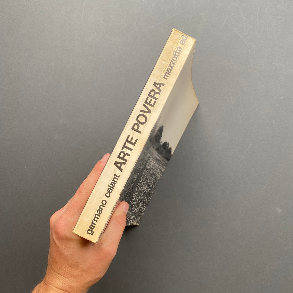 Germano Celant, Arte Povera, prima edizione Mazzotta 1969