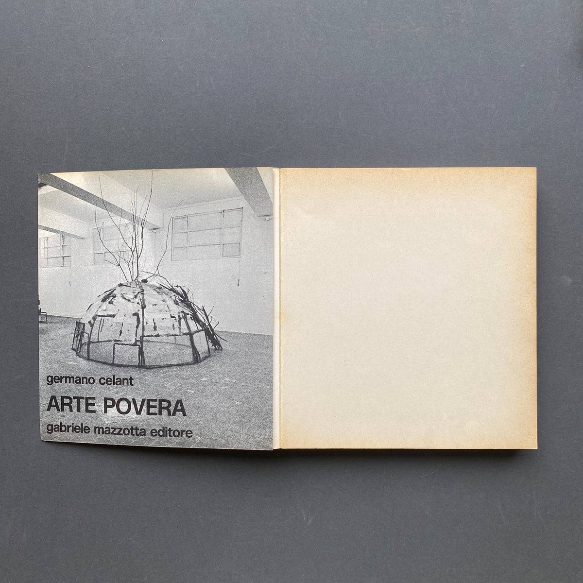 Germano Celant, Arte Povera, prima edizione Mazzotta 1969